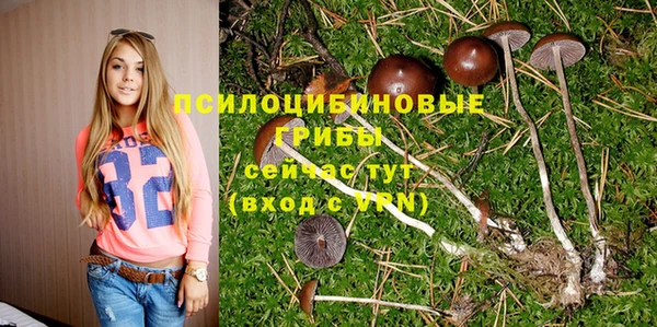 каннабис Абдулино