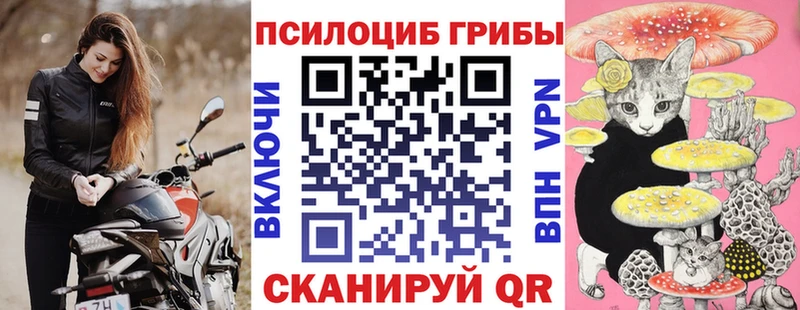 Псилоцибиновые грибы Psilocybine cubensis  hydra маркетплейс  Партизанск  что такое  